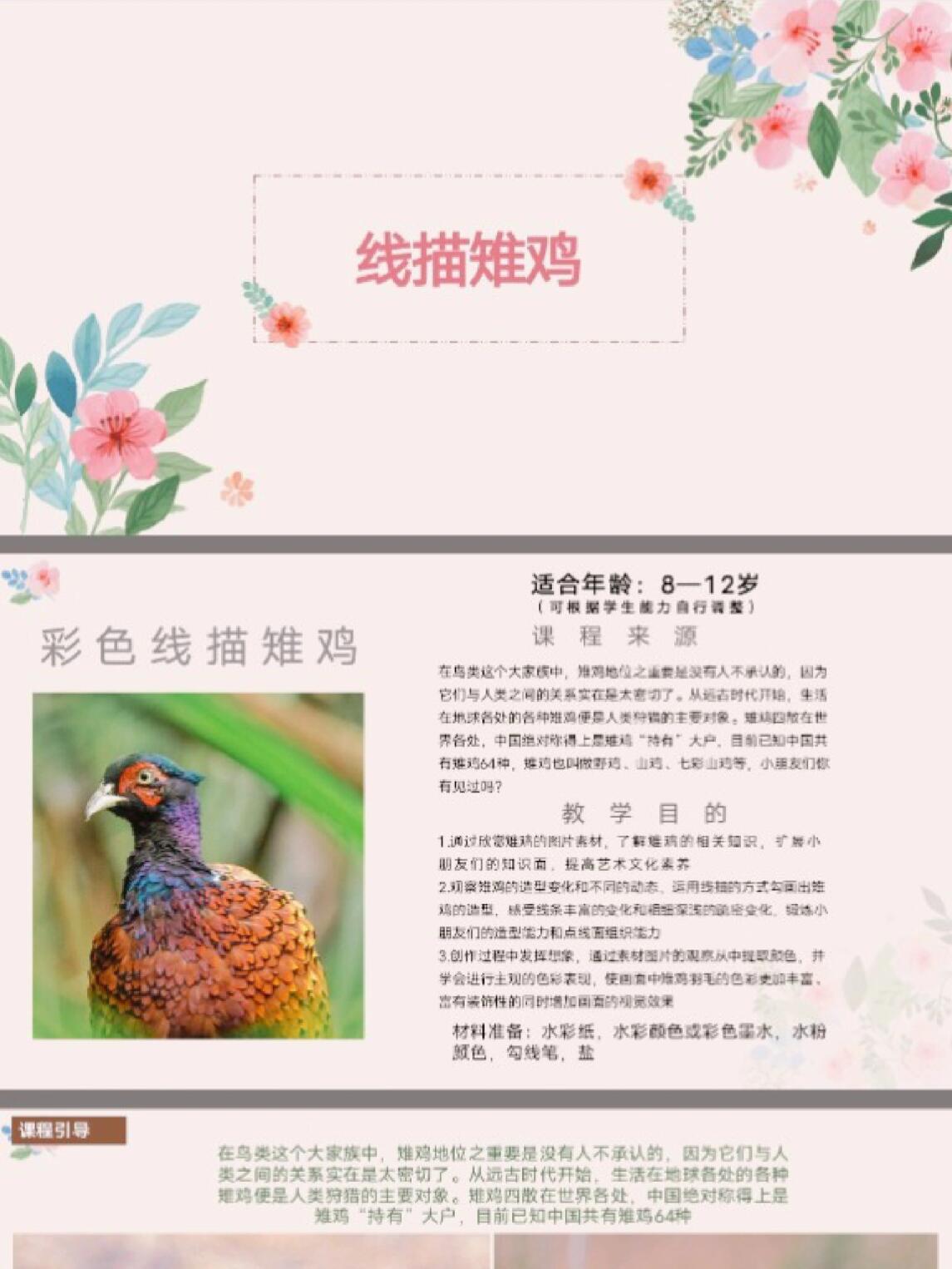 M2357.线描雉鸡 创意美术课件