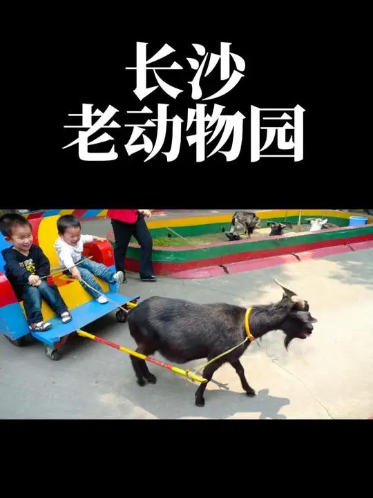 「长沙老照片」老动物园