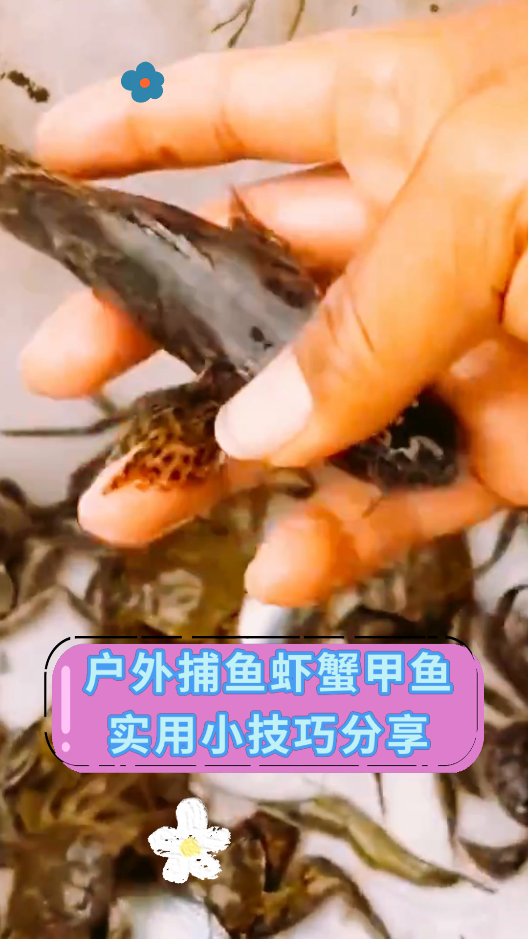 户外捕鱼虾蟹甲鱼实用小技巧分享