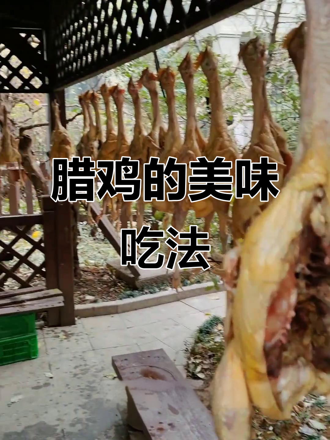 腊鸡的多种美味做法,烧千张、清蒸或春笋搭配皆令人陶醉