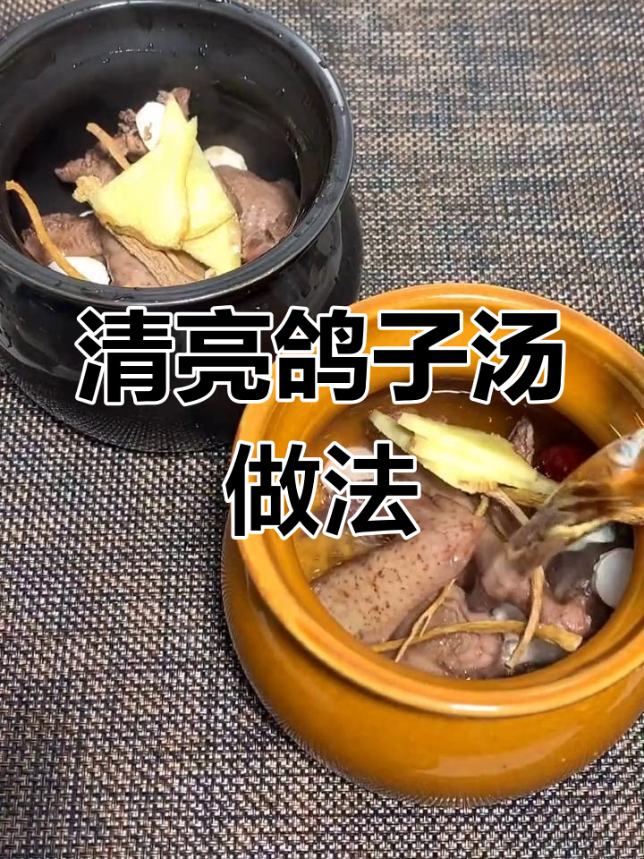 鸽子汤炖法,营养满满又美味
