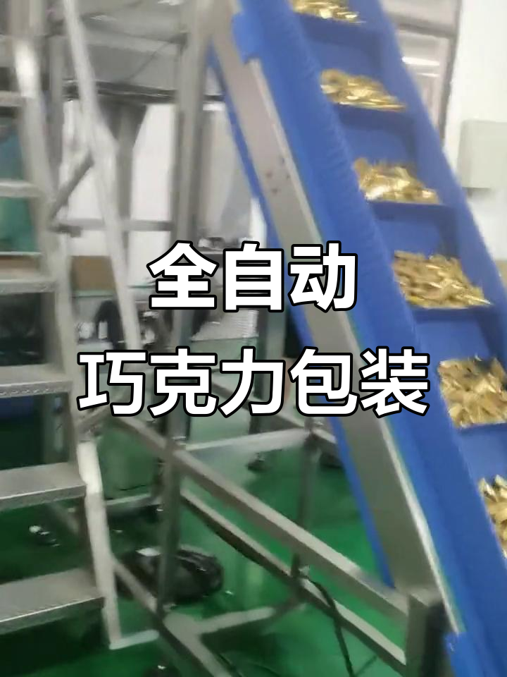 巧克力全自动包装,防水防潮,确保完美无损