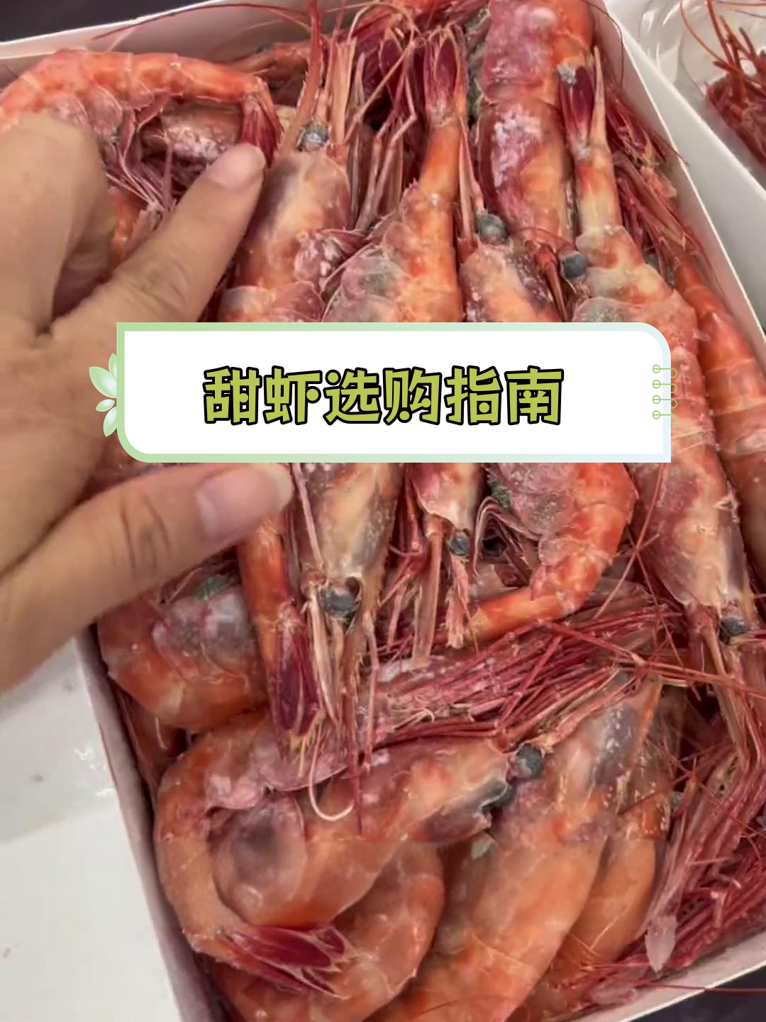 甜虾规格与鲜度解析,如何选择最适合的食材