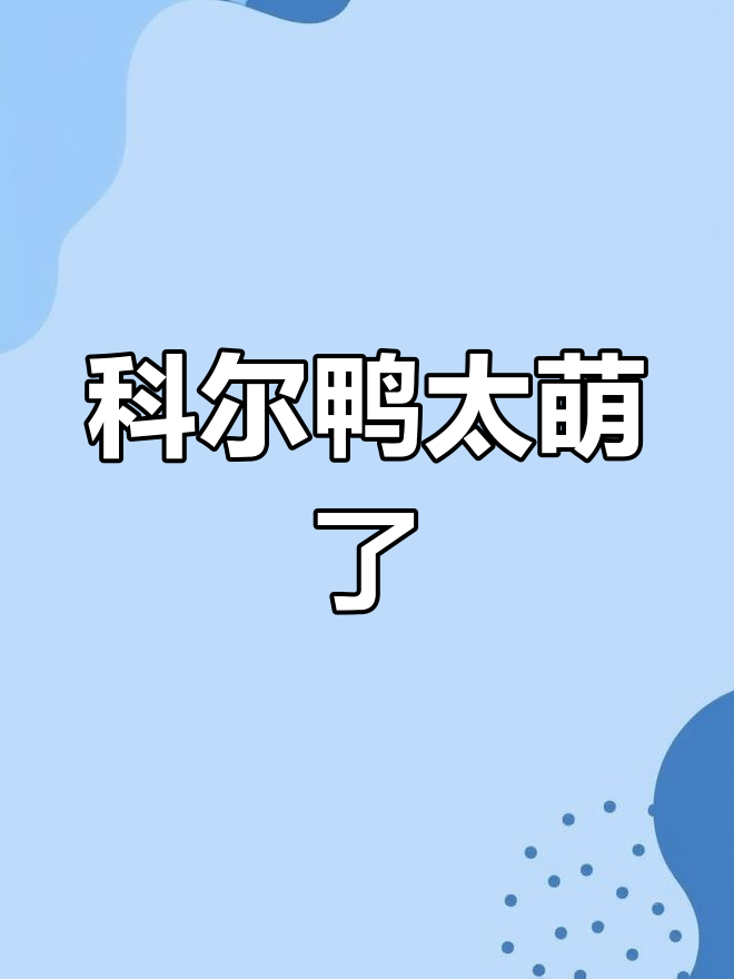 可爱科尔鸭引爆网络,王思聪也养了两只