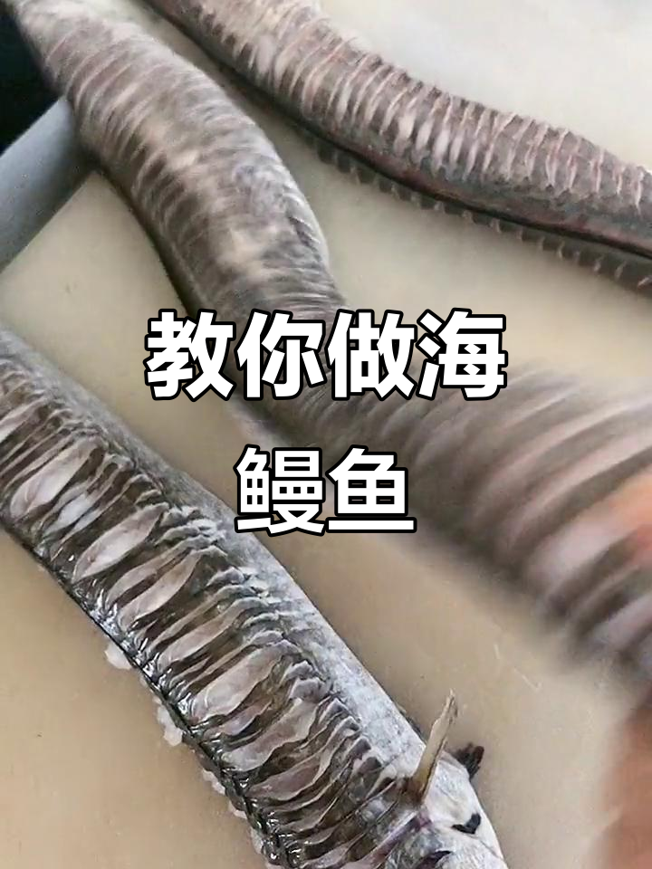 海鳗鱼红烧技巧大揭秘,轻松学会这道美味