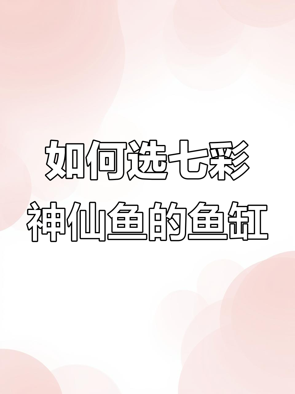 七彩神仙鱼饲养入门：如何选择合适的鱼缸大小
