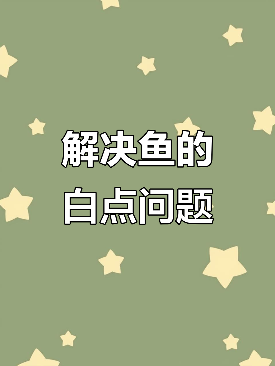 鱼得白点病怎么办?三步急救法教你快速解决