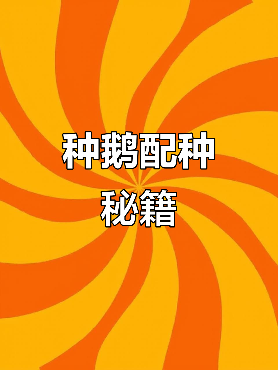 掌握种鹅高效配种技巧,提升产蛋率轻松搞定