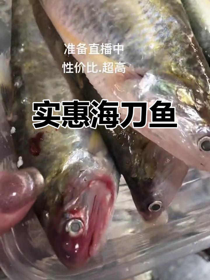 海刀鱼价格大跌,性价比超高,赶紧抢购!