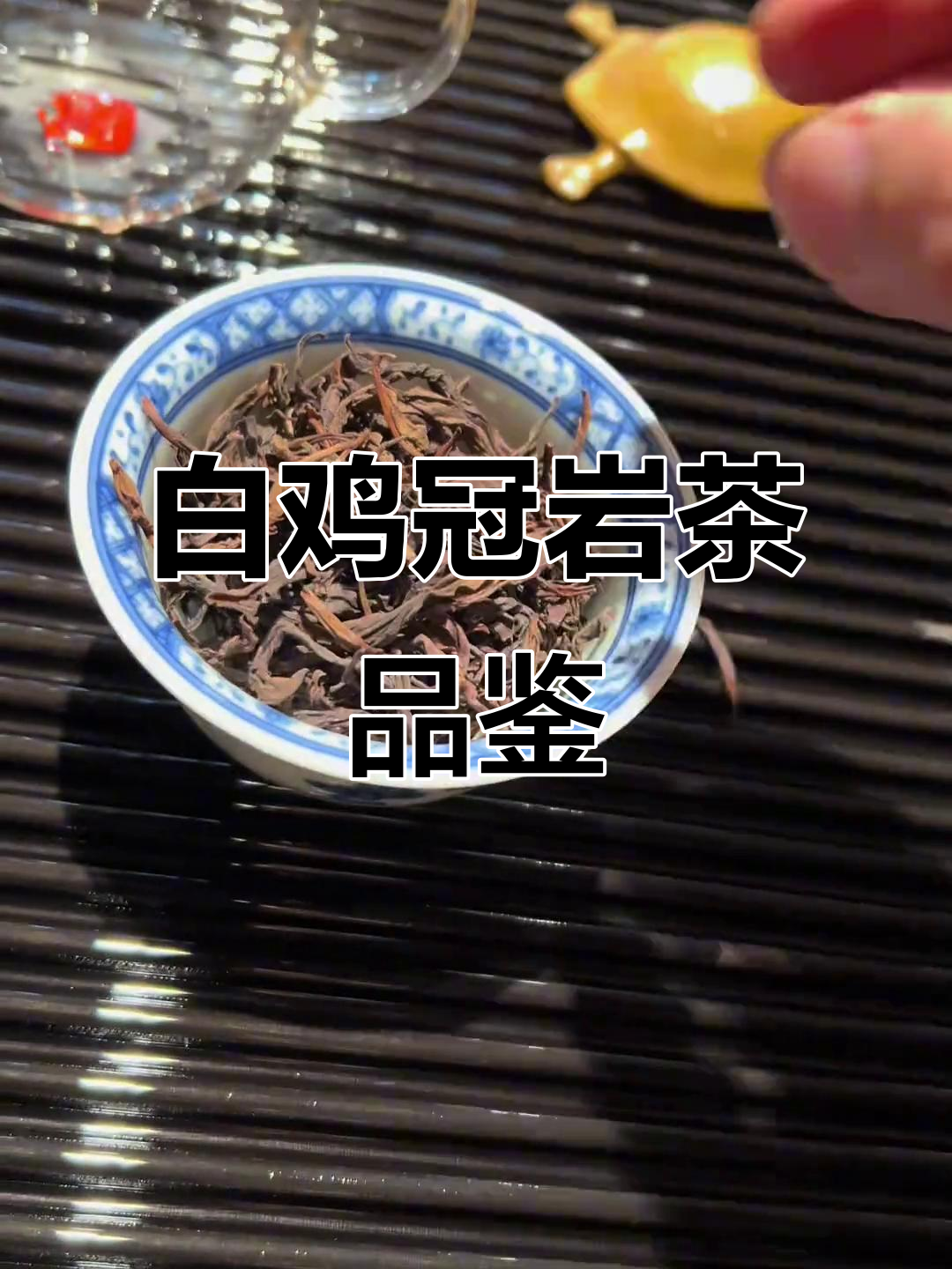 2009年白鸡冠岩茶，花蜜香与沉香的完美融合