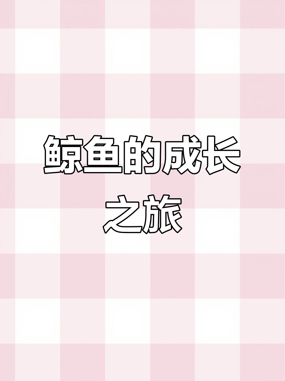 鲸鱼成长记:从幼崽到成年,母爱伴随每一步