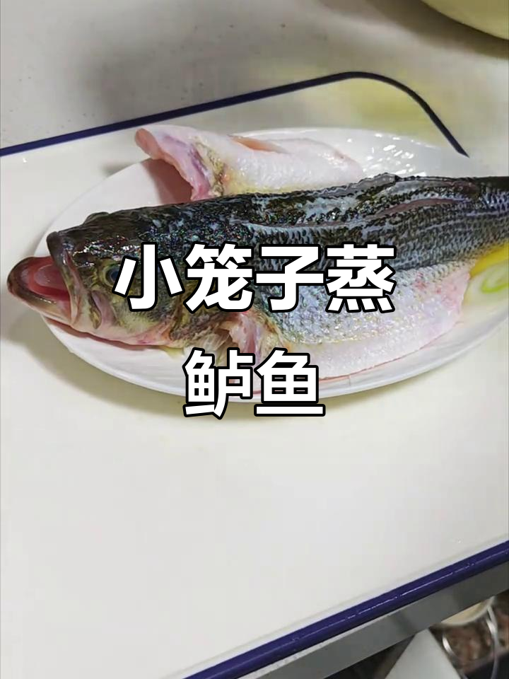 蒸鲈鱼时,因为笼子太小尾巴弯了家常做法大揭秘