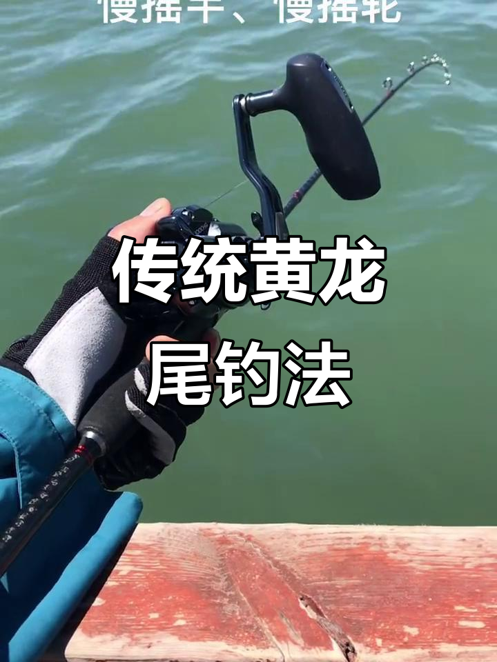 黄龙尾船钓白敏子,装备与技巧全揭秘