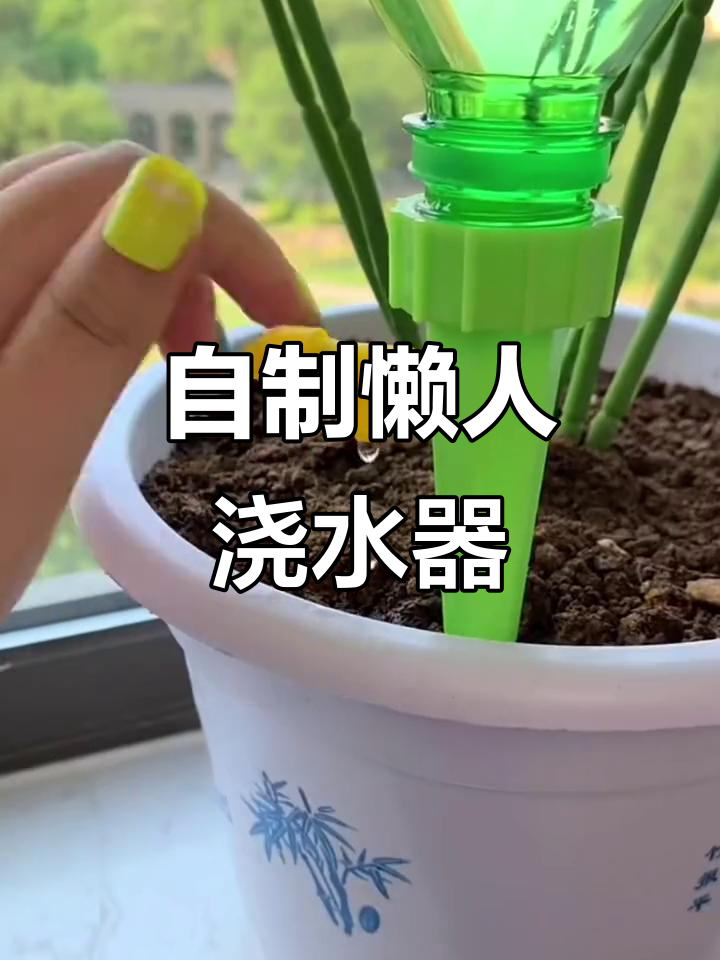 懒人必备:矿泉水瓶DIY浇花神器,出差旅行也能放心