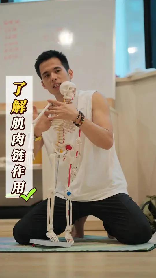 壮壮老师干货课堂了解肌肉链