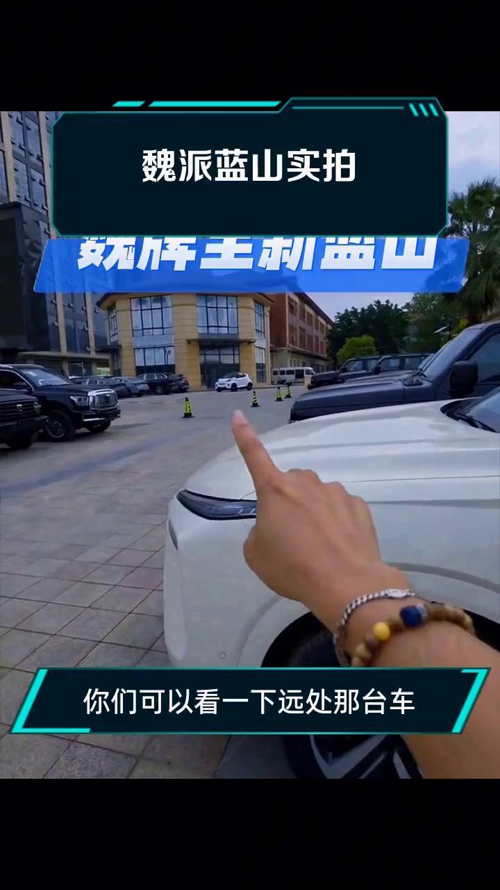 魏派蓝山实拍