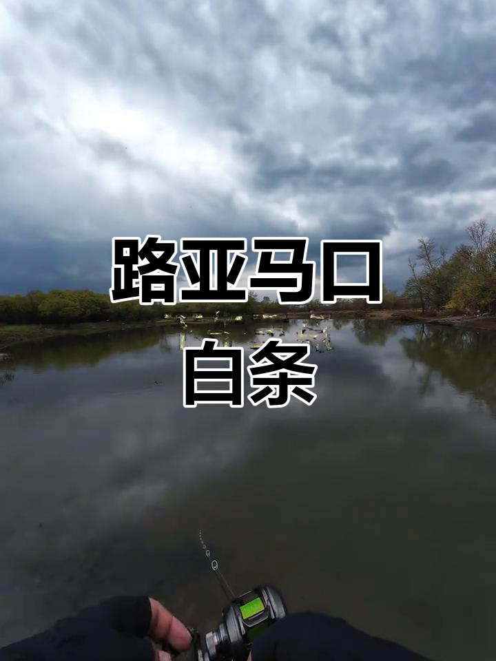 溪流路亚小宝贝,长春饮马河的惊喜之旅