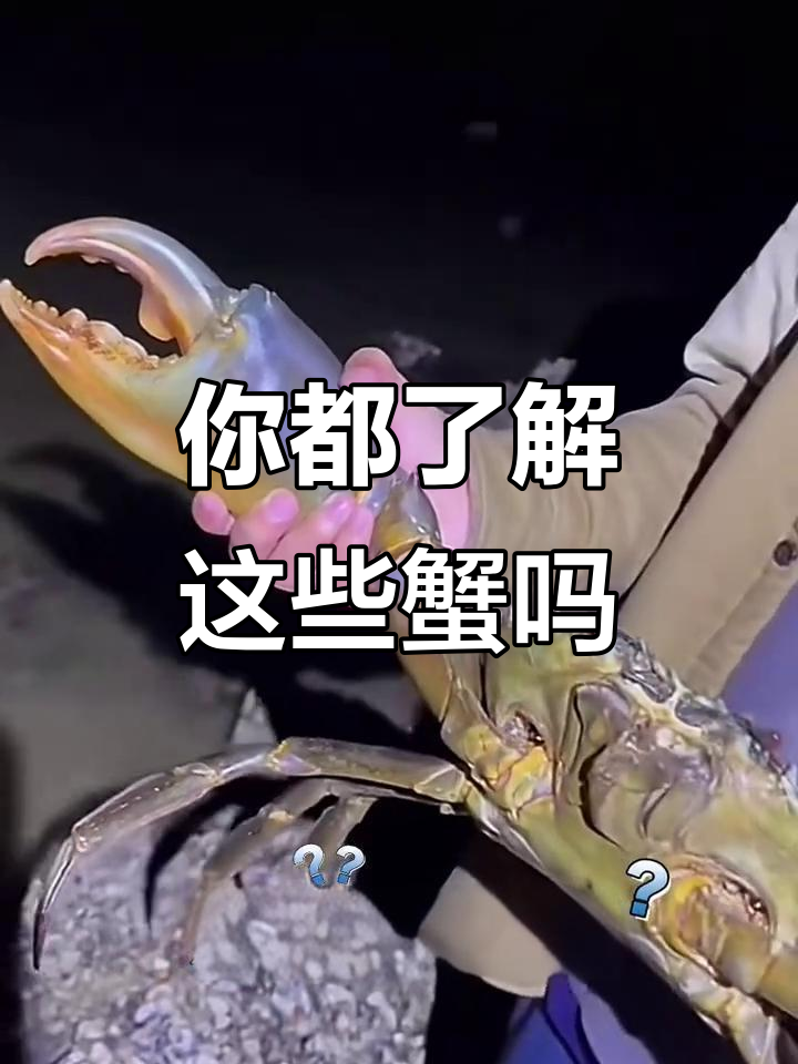 这些螃蟹你全都认识吗?从馒头蟹到帝王蟹,一网打尽!