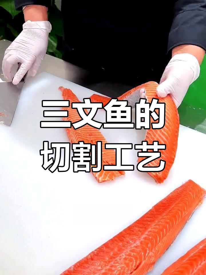 鲑鱼解剖全过程揭秘