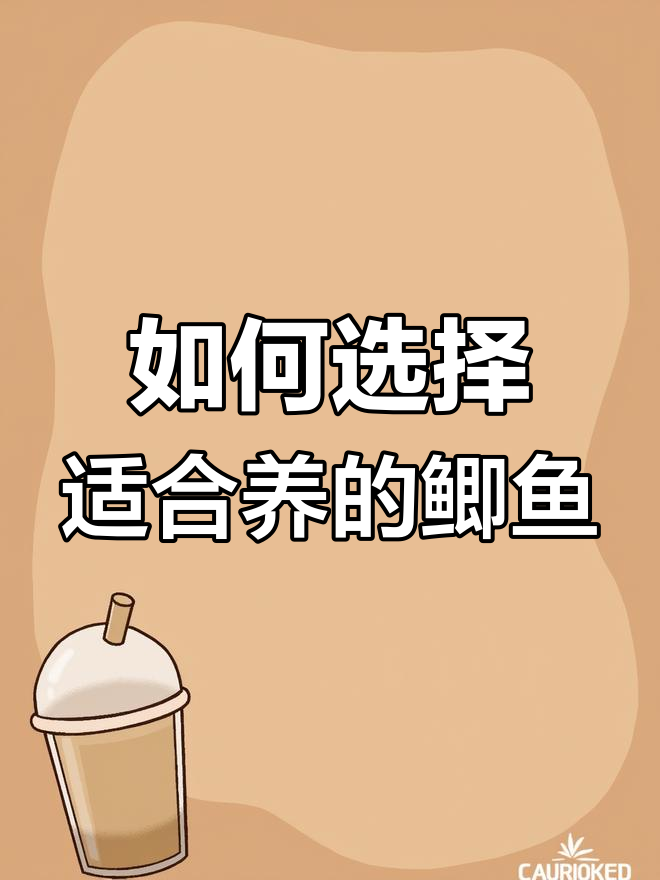 鲫鱼种类繁多,哪种最适合你养?
