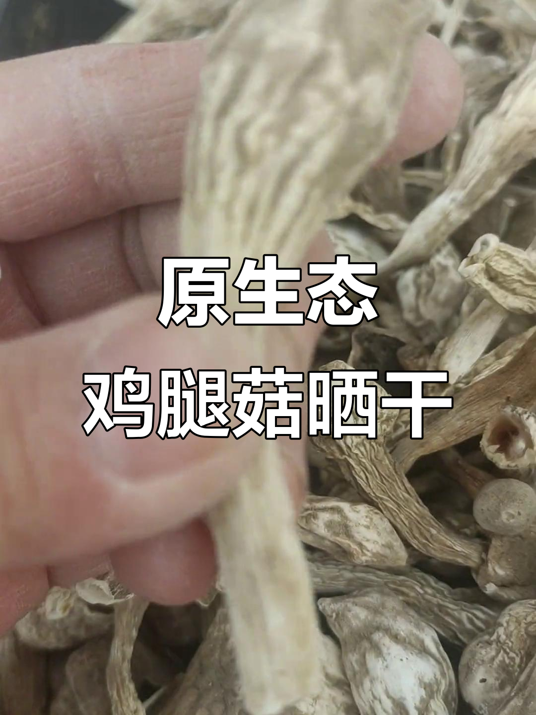 鸡腿菇晒干全流程,原生态与清洗后的对比