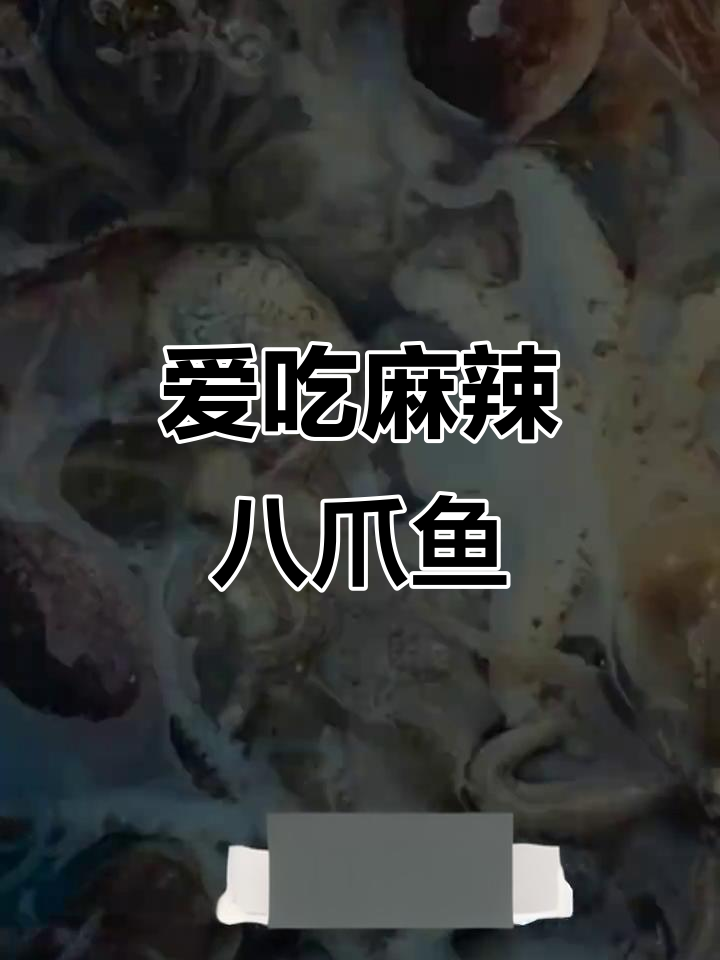 迷你八爪鱼,麻辣生腌最美味!