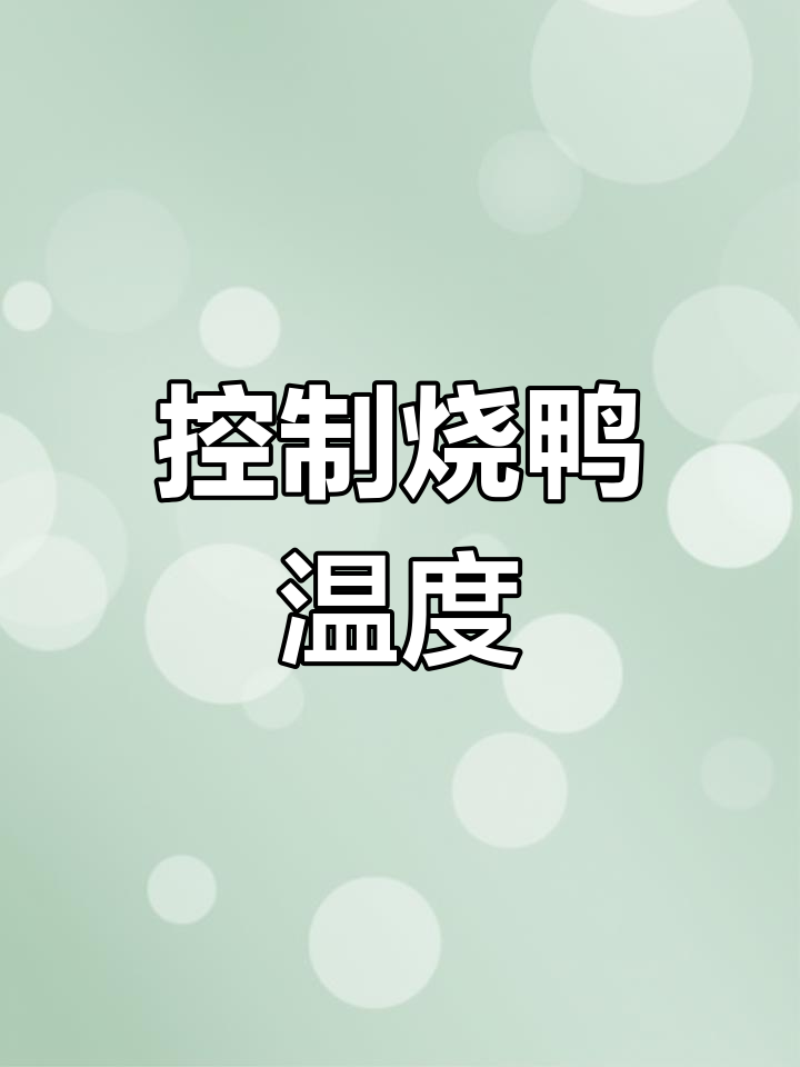 脆皮烧鸭炉温控制技巧