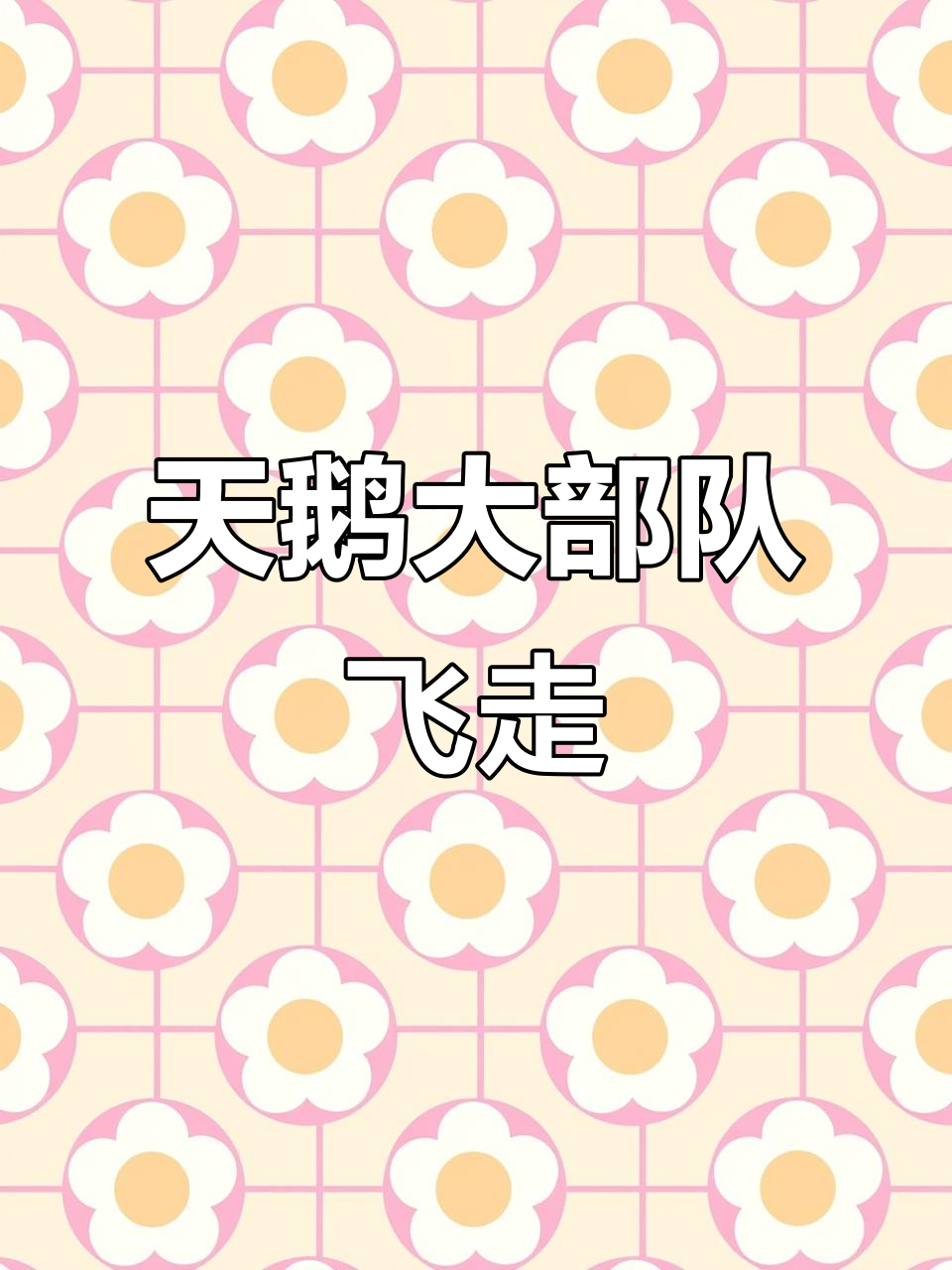 大天鹅集体迁徙,壮观景象震撼来袭