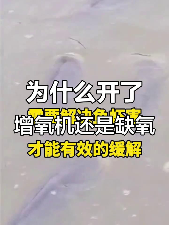 增氧机全开,鱼虾蟹为何还缺氧?三种原因揭秘