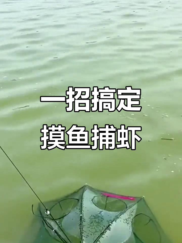 轻松抓鱼捕虾,网兜设计让你事半功倍