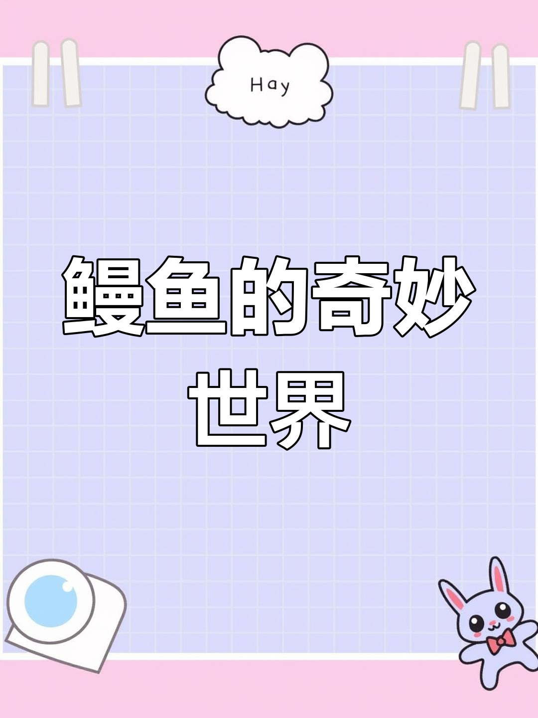 多种鳗鱼品种,各具特色,带你探索它们的独特魅力
