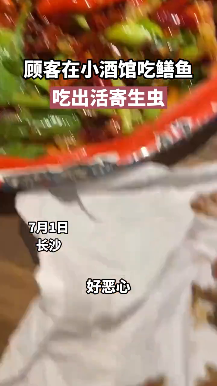顾客在鳝鱼里吃到活寄生虫,酒馆:已免单并支付药费