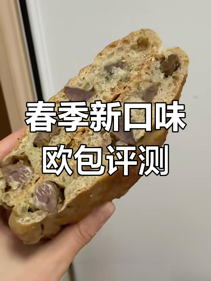 春日新品欧包大测评!枣叔的魔法碱水豆乳与五黑紫米奶酪面包