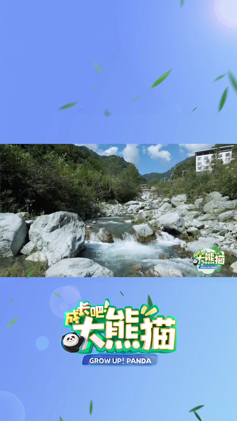 四川卫视 成长吧大熊猫 卧龙自然保护区,山水相依,气候宜人。这里是大熊猫的原生栖息地。据不