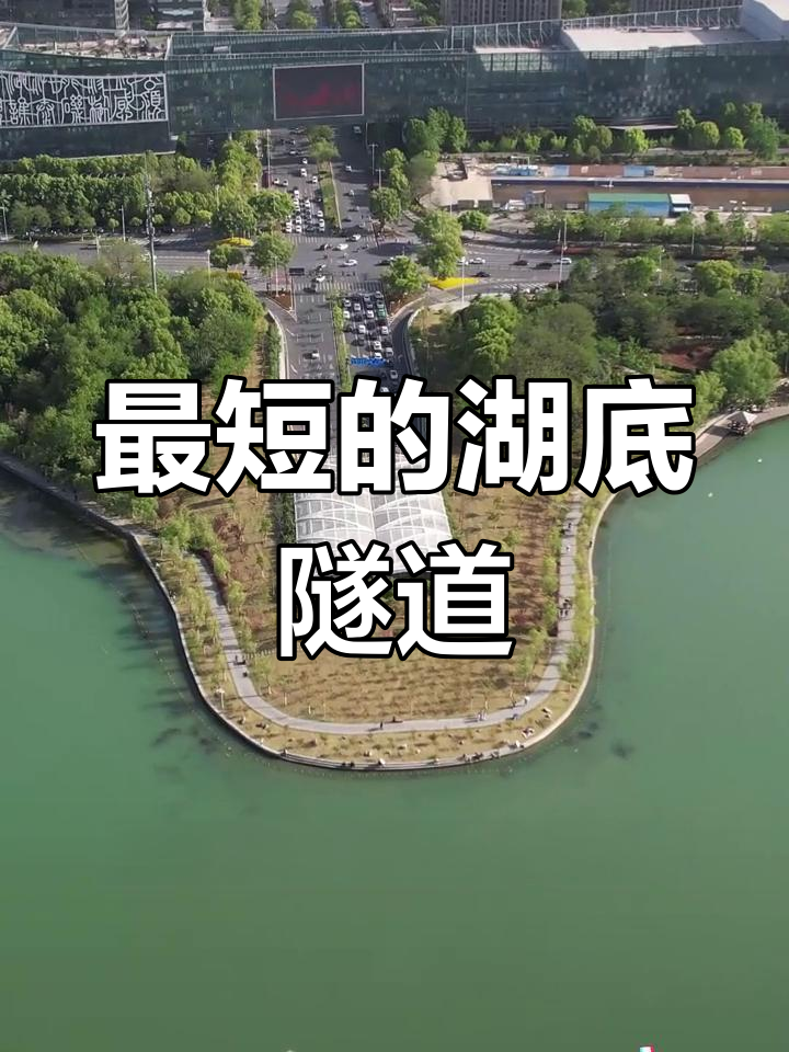 合肥天鹅湖隧道:900米短却快,网友戏称“开太快就过头”