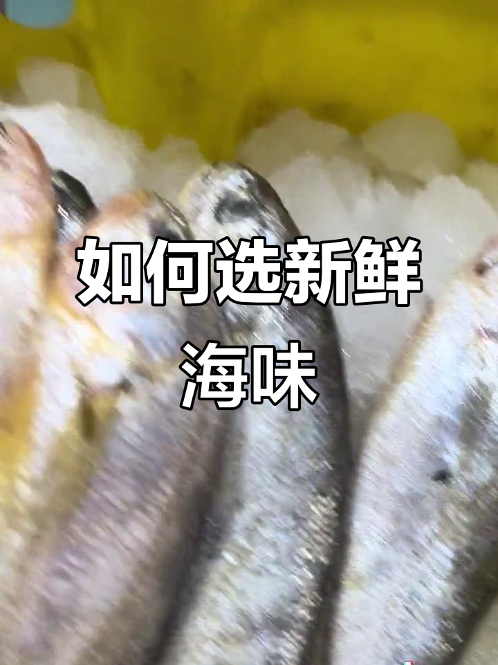 新鲜海鲜大揭秘,鱿鱼青肉如何挑选才不老