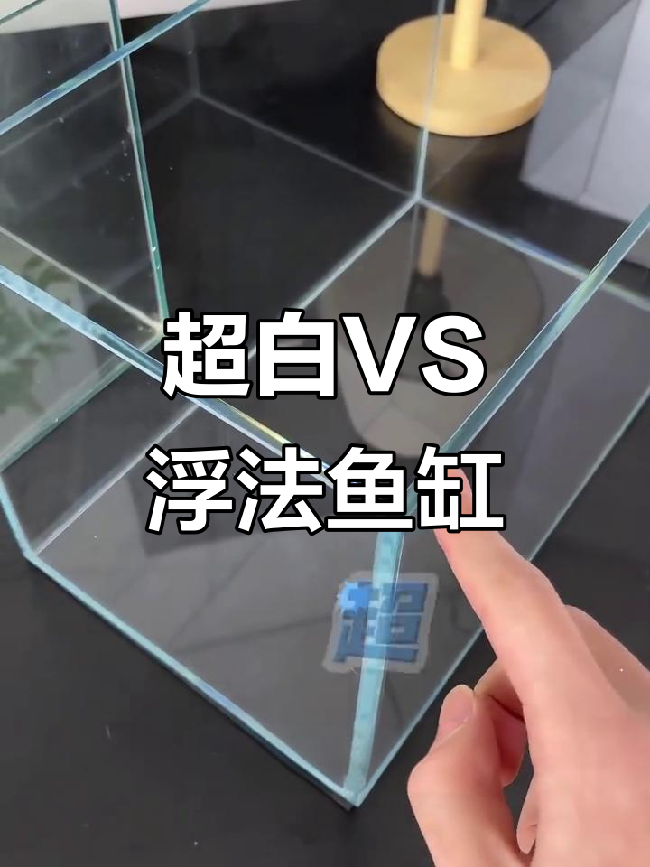 两个鱼缸对比，超白与浮法玻璃差距大