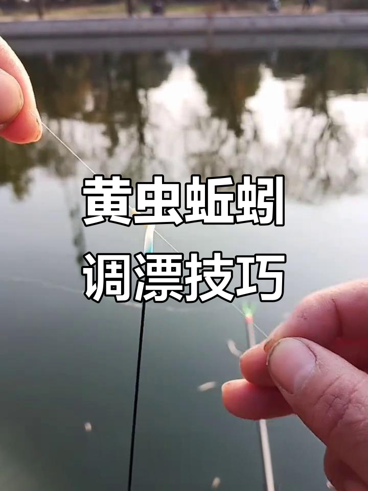 春季钓鱼技巧:黄虫蚯蚓调漂方法,轻松钓鲫鱼