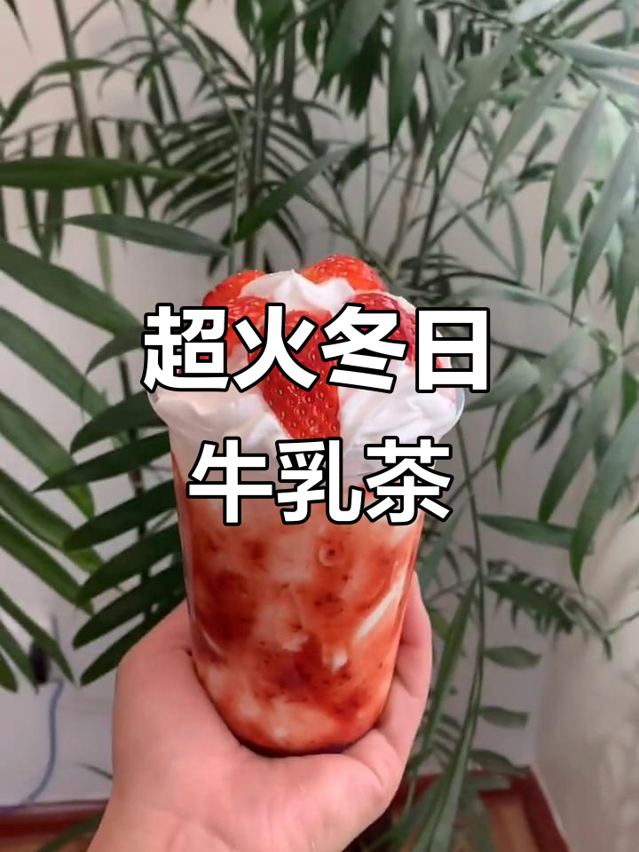 冬季热销牛乳茶,快来试试这款网红饮品!