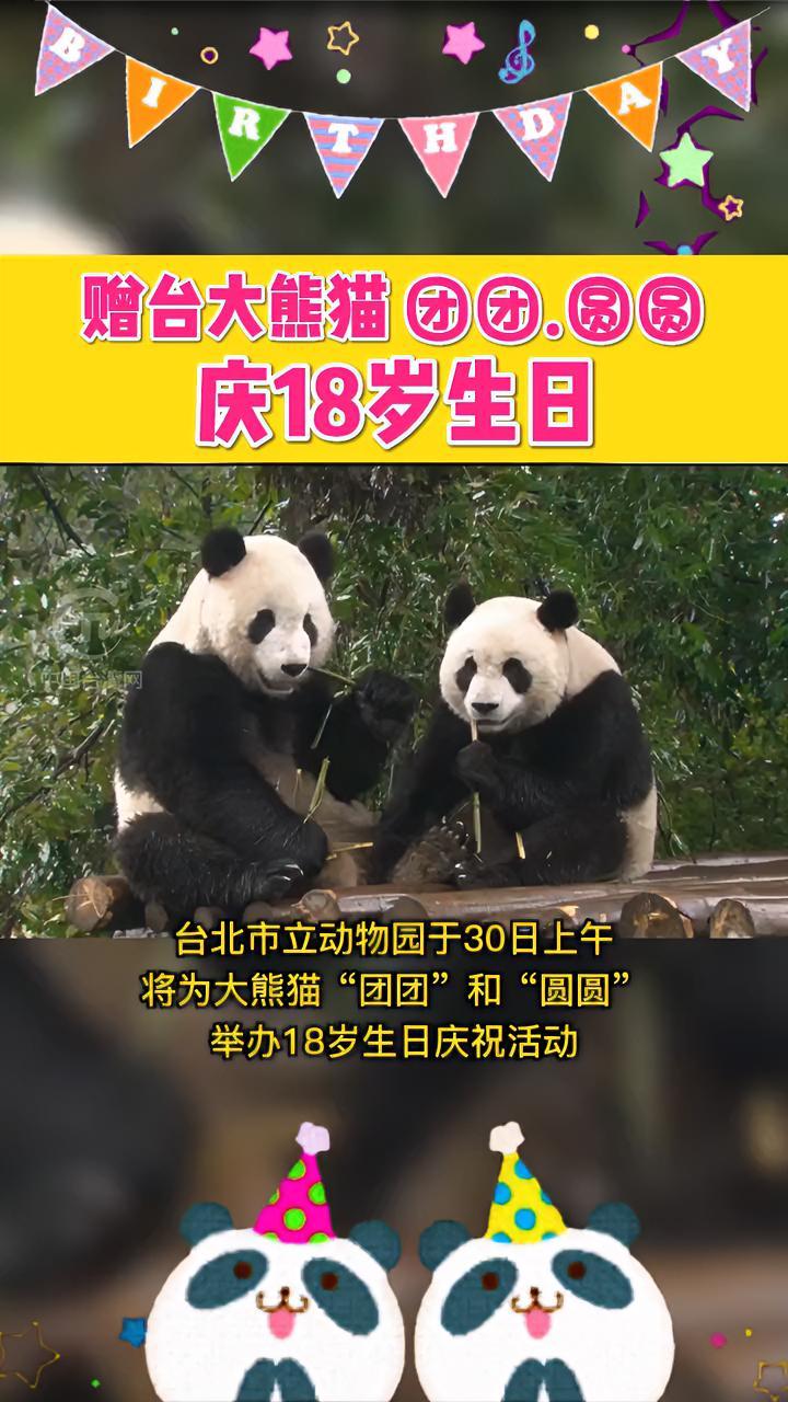 赠台大熊猫团团、圆圆庆18岁生日 台湾 国宝