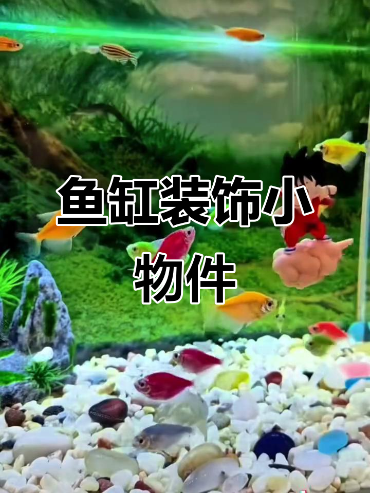 鱼缸造景小摆件,让你的水族世界更有趣