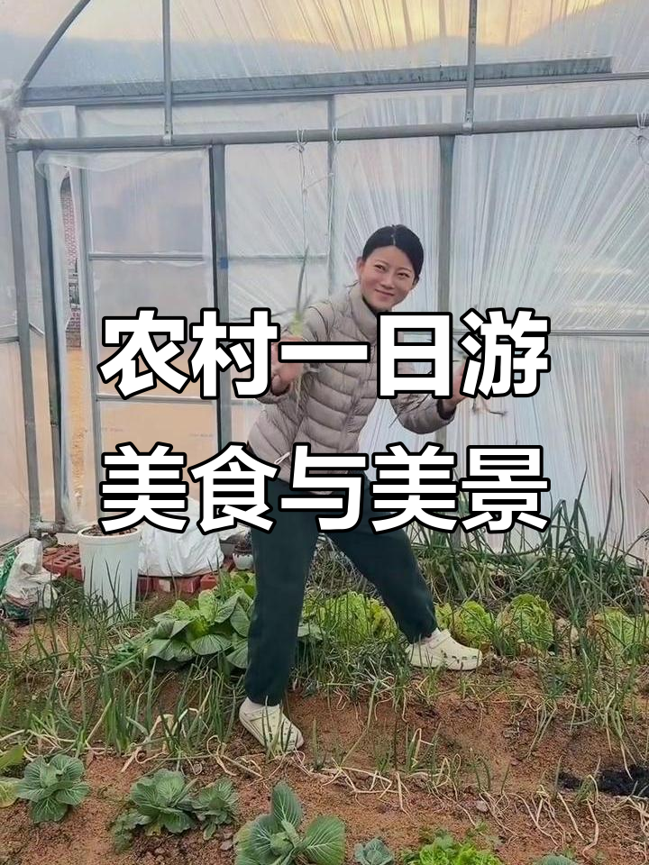 带你体验韩国乡村生活,烤肉、蔬菜大餐一网打尽