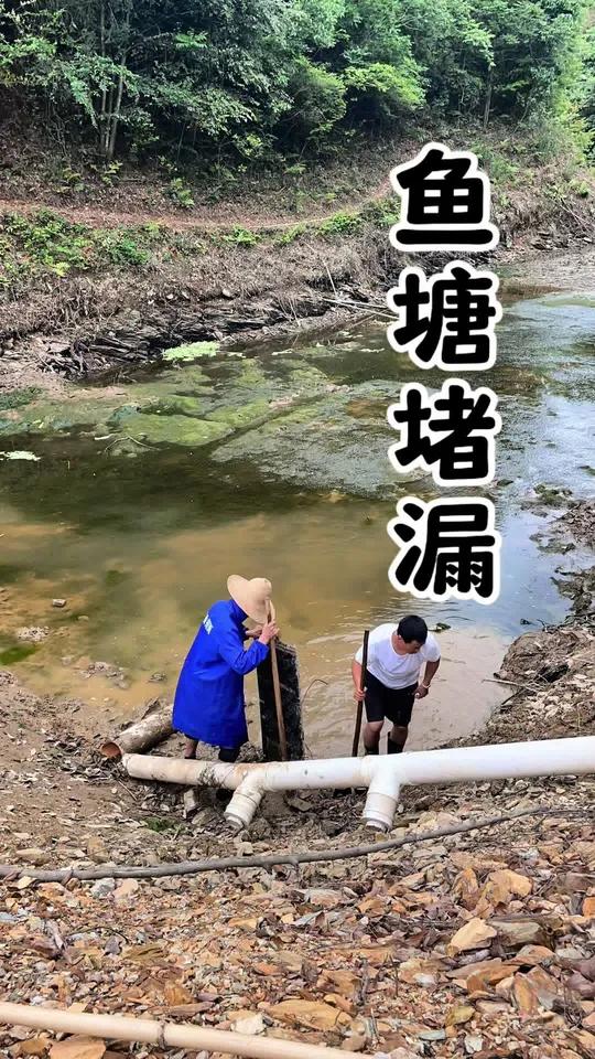 荒塘改造 没想到老爸居然用了块木板给鱼塘补漏,各位大哥觉得这样行吗?