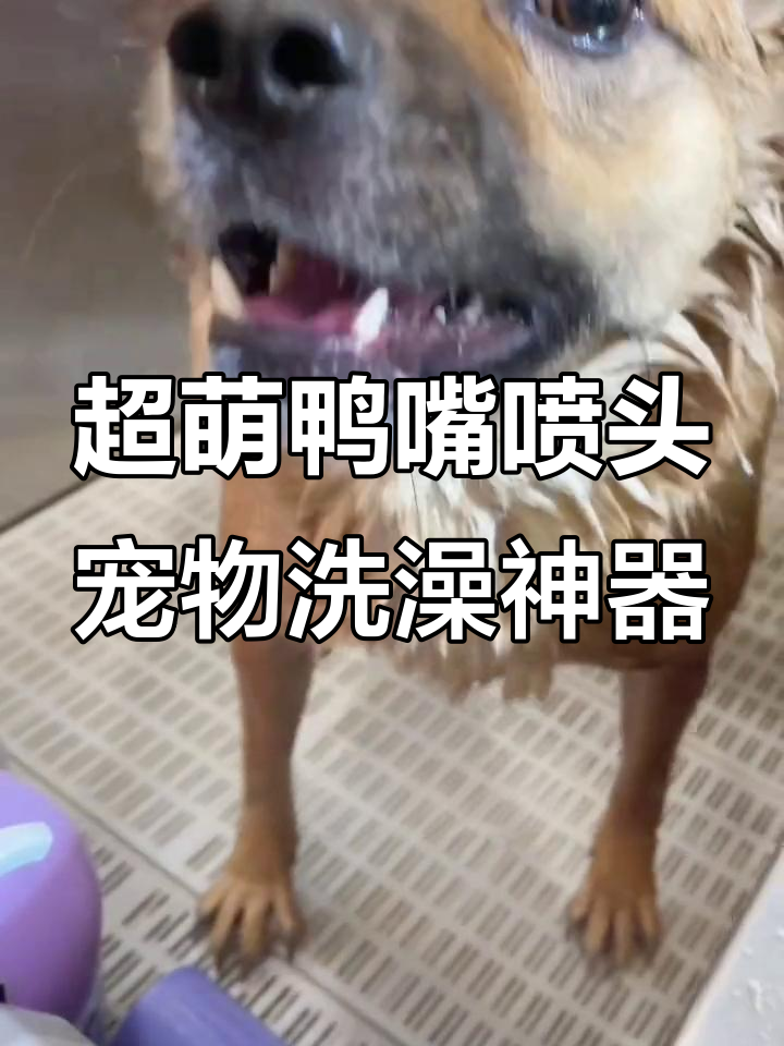 这款沐浴泡泡机让宠物洗澡更轻松,泡沫均匀又好玩