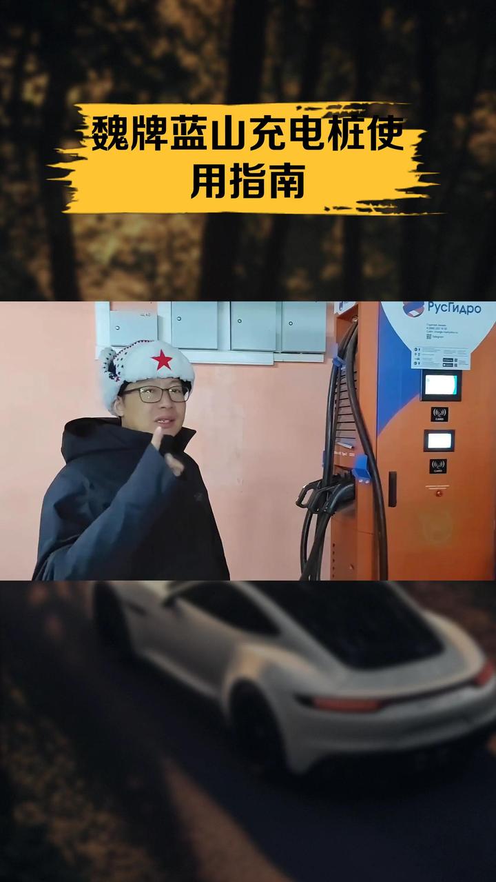 魏牌蓝山充电桩使用指南