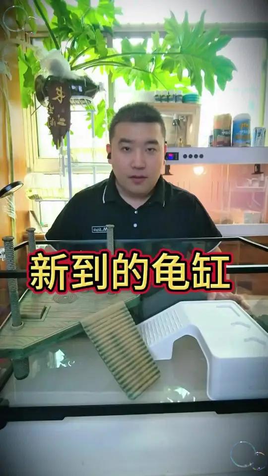 新买的龟缸到家啦 现在谁还买玻璃钢啊这种的又轻便又美观#龟缸造景 #鱼缸 #养龟日常 #龟