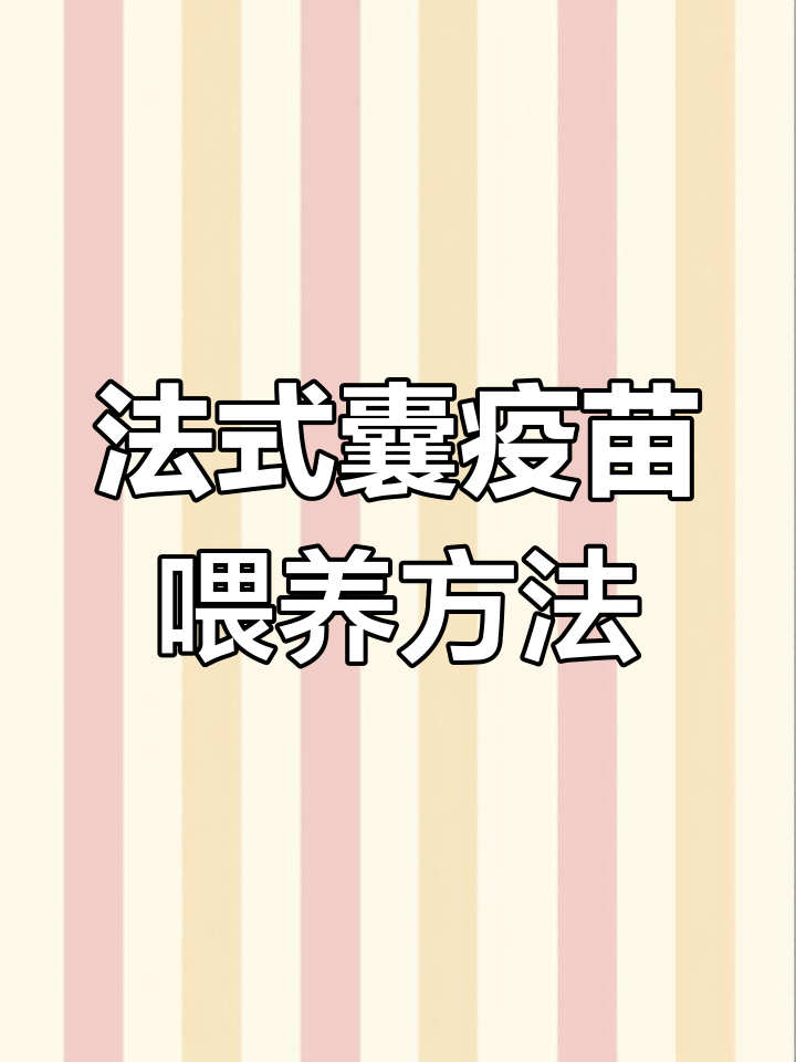 鸡传染性法氏囊疫苗如何喂?兑水技巧大公开