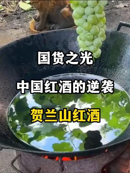 来自贺兰山脚下的国货之光!酿出的葡萄酒不输国外大牌!#葡萄酒 #葡萄 #宁夏葡萄酒