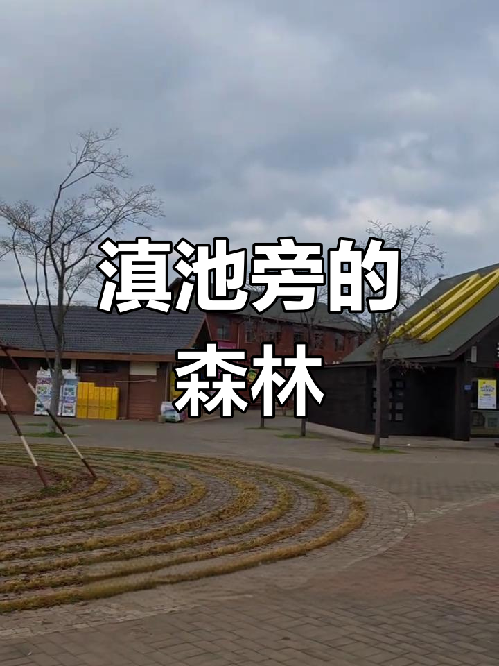 昆明捞鱼河湿地公园探访