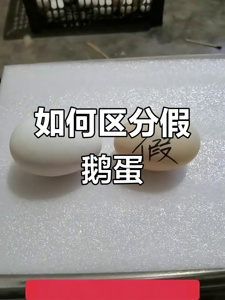 真假鹅蛋辨别技巧，教你如何分辨真伪